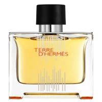 Terre D'Hermes Flacon H 2021 Parfum