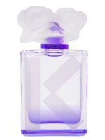 Couleur Kenzo Violet