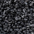 Coal