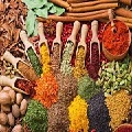 Exotic Spices