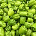 Green Pepper