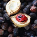 Indonesian Nutmeg