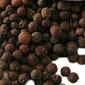 Pimento Seeds