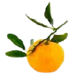 Sicilian Mandarin