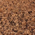 Soil Tincture