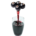 Black Currant Syrup