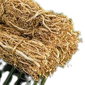 Vetiver Root