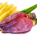 Banana Flower