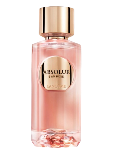 Absolue 6AM Rose