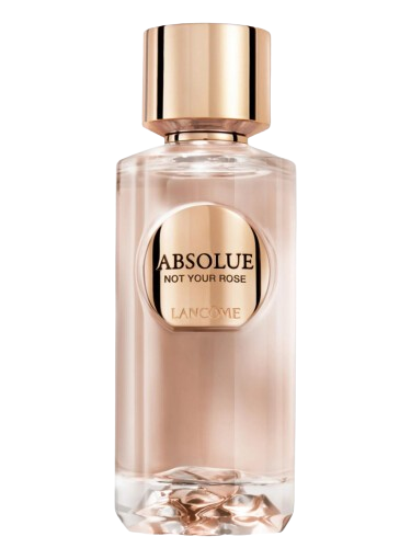 Absolue Not Your Rose