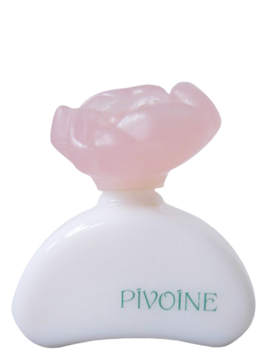 Pivoine