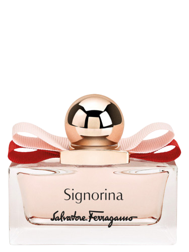 Signorina Limited Edition