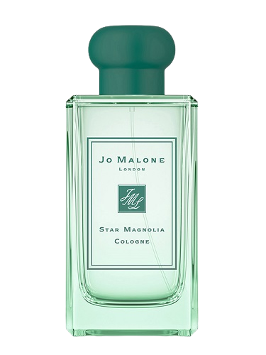 Star Magnolia Cologne(2019)