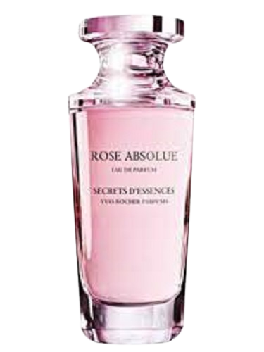 Rose Absolue