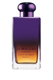 Violet & Amber Absolu