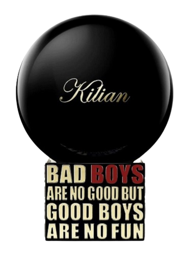 Bad Boys Are No Good But Good Boys No Fun