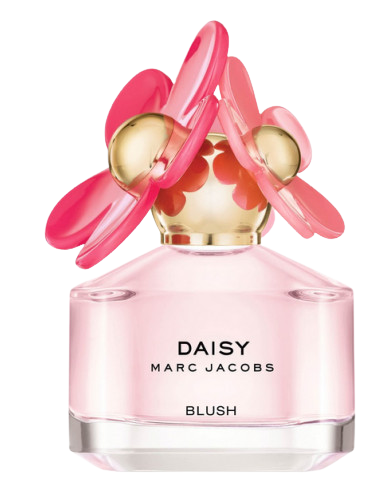 Daisy Blush