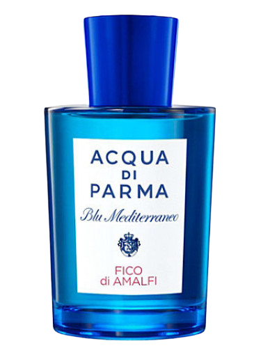 Blu Mediterraneo - Fico di Amalfi
