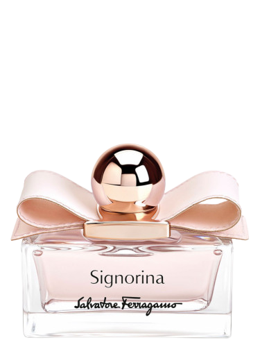 Signorina Leather Edition