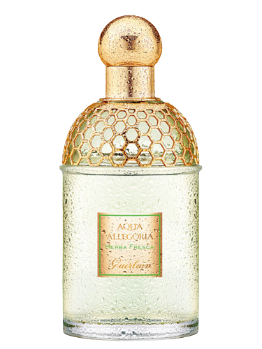 Aqua Allegoria Herba Fresca