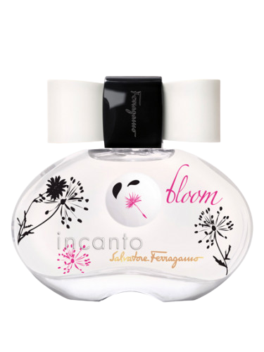 Incanto Bloom