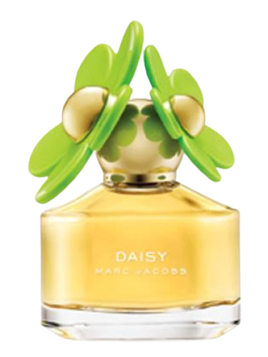 Daisy Bloom