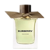 Oud Storm Burberry