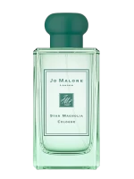 Star Magnolia Cologne(2019)