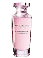 Rose Absolue