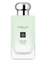 Osmanthus Cologne 2020