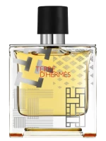 Terre D'Hermes Flacon H 2016 Parfum