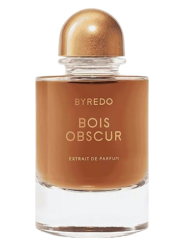 Casablanca Lily 2025