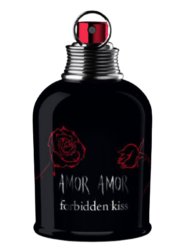Amor Amor Forbidden Kiss