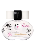 Incanto Bloom